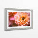 Blossom | Cuadro decorativo de Canvas Lab
