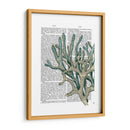 Corales Azules Y Erizos De Mar Iii - Fab Funky | Cuadro decorativo de Canvas Lab