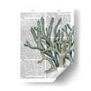 Corales Azules Y Erizos De Mar Iii - Fab Funky | Cuadro decorativo de Canvas Lab