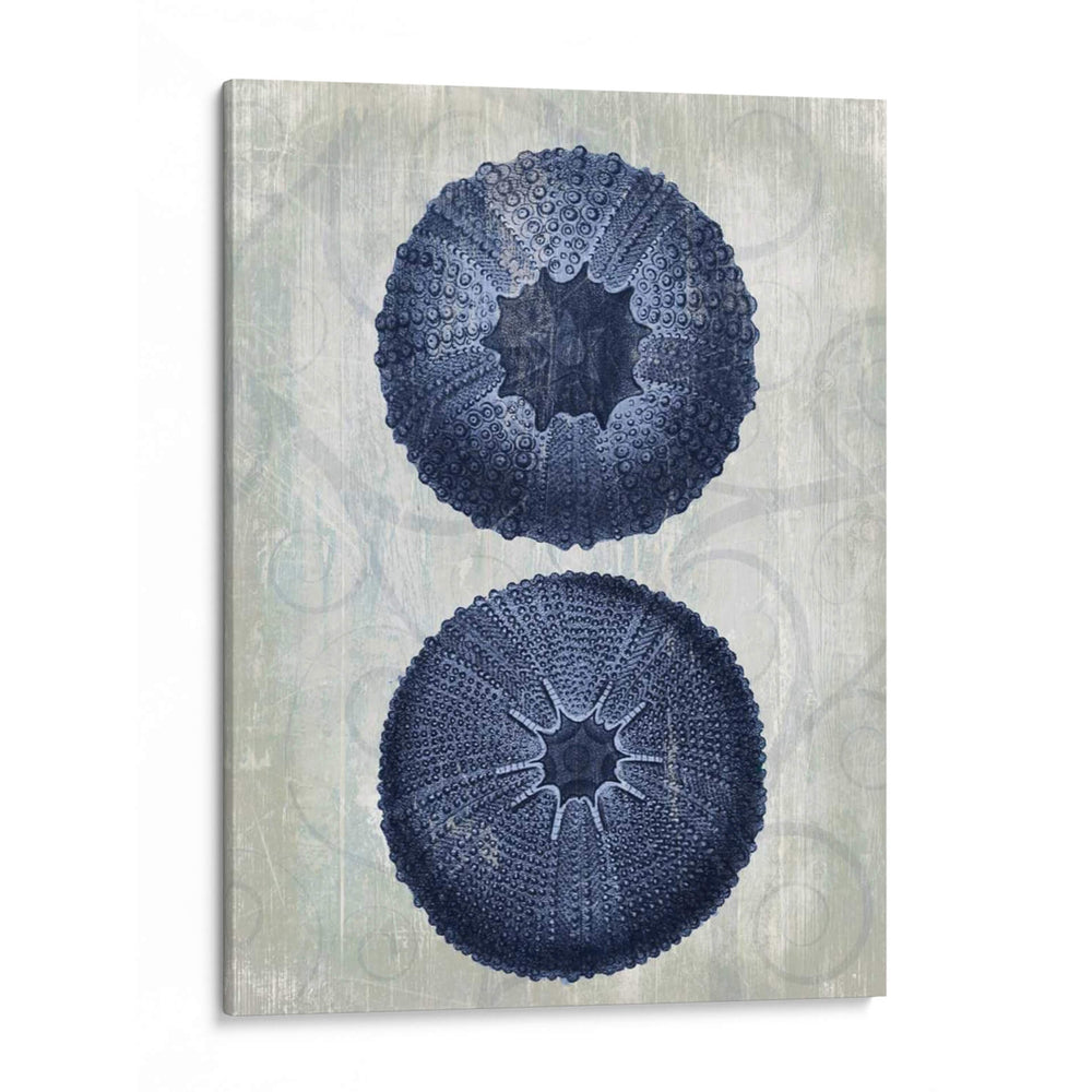 Orrchins De Mar Azul Índigo B - Fab Funky | Cuadro decorativo de Canvas Lab