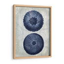 Orrchins De Mar Azul Índigo B - Fab Funky | Cuadro decorativo de Canvas Lab
