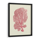 Coral Coral En Crema C - Fab Funky | Cuadro decorativo de Canvas Lab