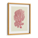 Coral Coral En Crema C - Fab Funky | Cuadro decorativo de Canvas Lab