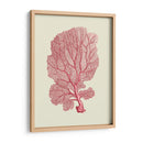 Coral Coral En Crema C - Fab Funky | Cuadro decorativo de Canvas Lab