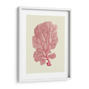 Coral Coral En Crema C - Fab Funky | Cuadro decorativo de Canvas Lab