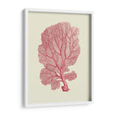Coral Coral En Crema C - Fab Funky | Cuadro decorativo de Canvas Lab