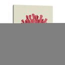 Coral Coral En Crema D - Fab Funky | Cuadro decorativo de Canvas Lab