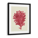Coral Coral En Crema D - Fab Funky | Cuadro decorativo de Canvas Lab