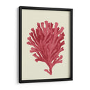 Coral Coral En Crema D - Fab Funky | Cuadro decorativo de Canvas Lab
