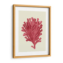 Coral Coral En Crema D - Fab Funky | Cuadro decorativo de Canvas Lab