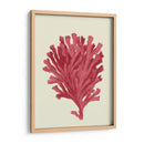 Coral Coral En Crema D - Fab Funky | Cuadro decorativo de Canvas Lab