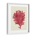 Coral Coral En Crema D - Fab Funky | Cuadro decorativo de Canvas Lab