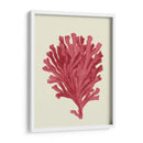 Coral Coral En Crema D - Fab Funky | Cuadro decorativo de Canvas Lab