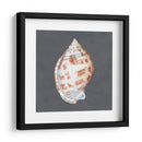 Shell En Pizarra I - Megan Meagher | Cuadro decorativo de Canvas Lab