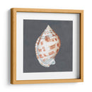 Shell En Pizarra I - Megan Meagher | Cuadro decorativo de Canvas Lab