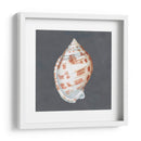 Shell En Pizarra I - Megan Meagher | Cuadro decorativo de Canvas Lab