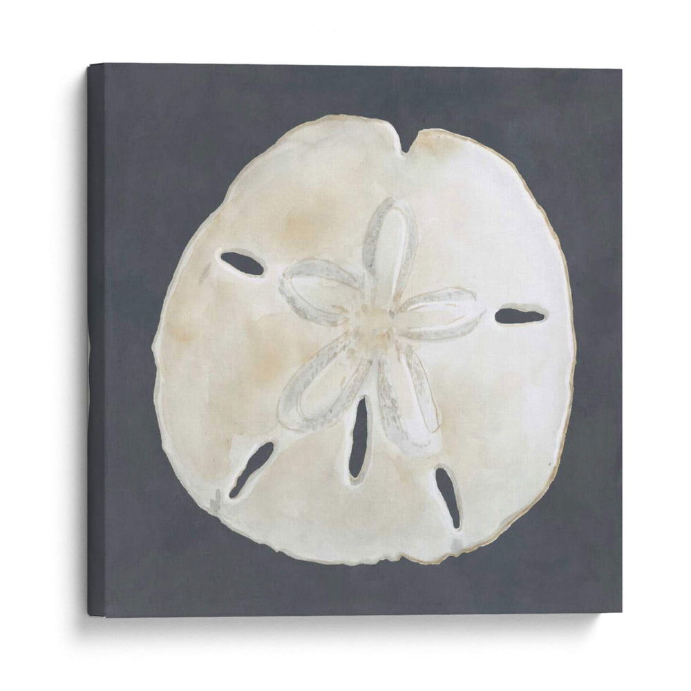 Shell En La Pizarra Ii - Megan Meagher | Cuadro decorativo de Canvas Lab