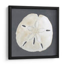Shell En La Pizarra Ii - Megan Meagher | Cuadro decorativo de Canvas Lab