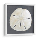 Shell En La Pizarra Ii - Megan Meagher | Cuadro decorativo de Canvas Lab