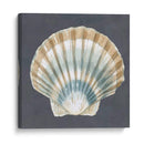Shell On Slate Iii - Megan Meagher | Cuadro decorativo de Canvas Lab