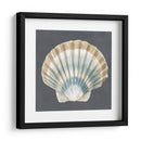 Shell On Slate Iii - Megan Meagher | Cuadro decorativo de Canvas Lab