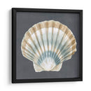 Shell On Slate Iii - Megan Meagher | Cuadro decorativo de Canvas Lab