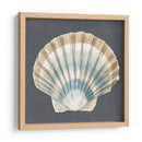Shell On Slate Iii - Megan Meagher | Cuadro decorativo de Canvas Lab