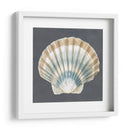 Shell On Slate Iii - Megan Meagher | Cuadro decorativo de Canvas Lab