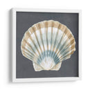 Shell On Slate Iii - Megan Meagher | Cuadro decorativo de Canvas Lab