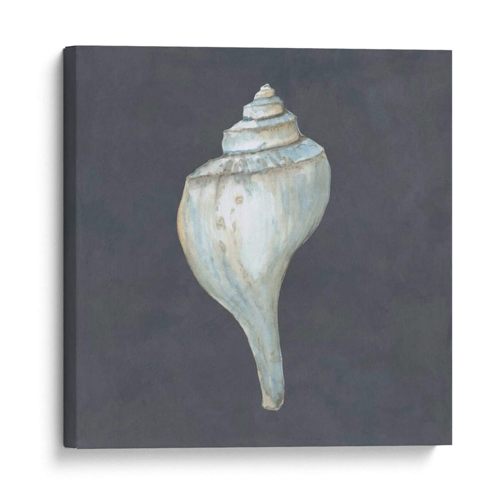Shell En La Pizarra Iv - Megan Meagher | Cuadro decorativo de Canvas Lab