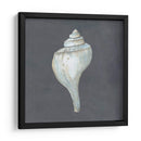 Shell En La Pizarra Iv - Megan Meagher | Cuadro decorativo de Canvas Lab