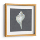 Shell En La Pizarra Iv - Megan Meagher | Cuadro decorativo de Canvas Lab