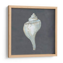 Shell En La Pizarra Iv - Megan Meagher | Cuadro decorativo de Canvas Lab