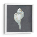 Shell En La Pizarra Iv - Megan Meagher | Cuadro decorativo de Canvas Lab