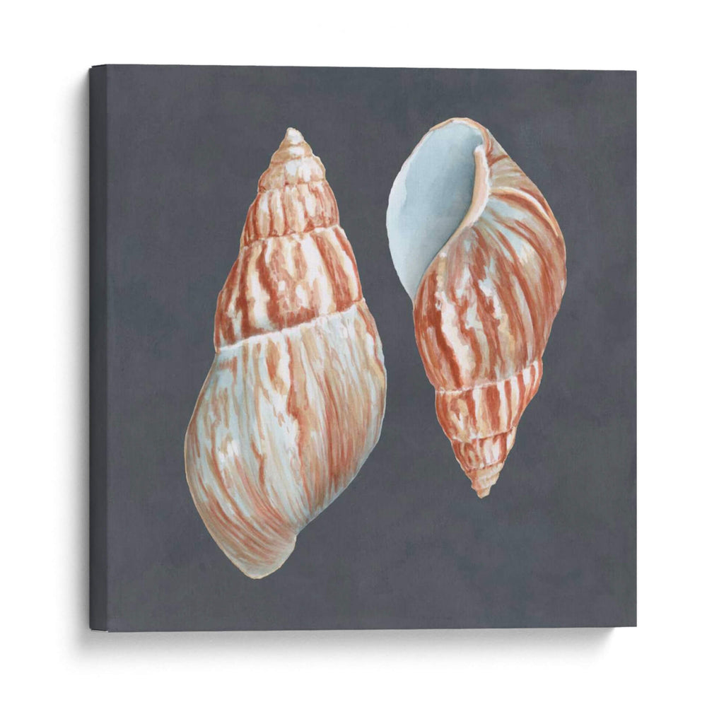 Shell En Pizarra V - Megan Meagher | Cuadro decorativo de Canvas Lab