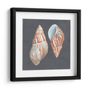 Shell En Pizarra V - Megan Meagher | Cuadro decorativo de Canvas Lab