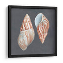 Shell En Pizarra V - Megan Meagher | Cuadro decorativo de Canvas Lab