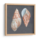 Shell En Pizarra V - Megan Meagher | Cuadro decorativo de Canvas Lab