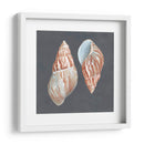 Shell En Pizarra V - Megan Meagher | Cuadro decorativo de Canvas Lab