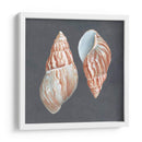 Shell En Pizarra V - Megan Meagher | Cuadro decorativo de Canvas Lab