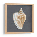 Shell En La Pizarra Vi - Megan Meagher | Cuadro decorativo de Canvas Lab