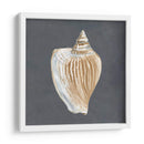 Shell En La Pizarra Vi - Megan Meagher | Cuadro decorativo de Canvas Lab