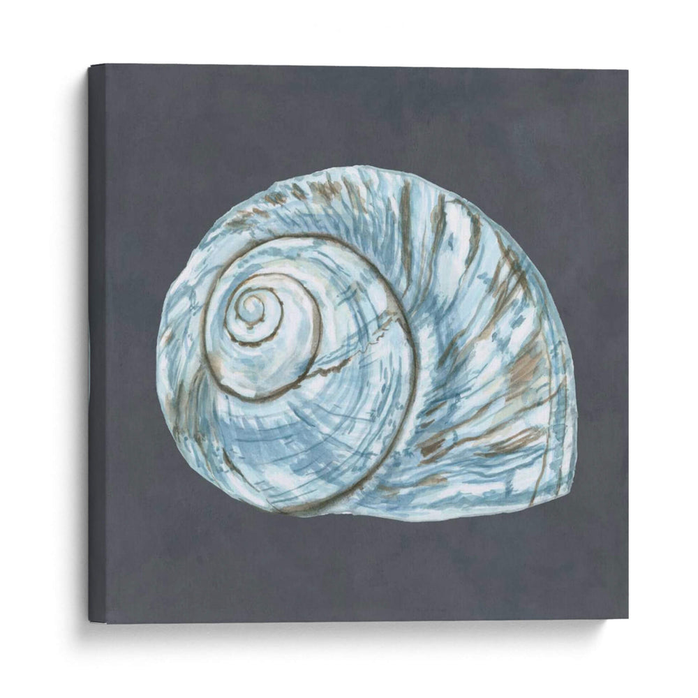 Shell En La Pizarra Viii - Megan Meagher | Cuadro decorativo de Canvas Lab