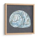 Shell En La Pizarra Viii - Megan Meagher | Cuadro decorativo de Canvas Lab