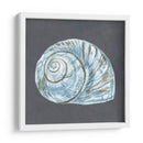 Shell En La Pizarra Viii - Megan Meagher | Cuadro decorativo de Canvas Lab
