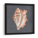Shell On Slate Ix - Megan Meagher | Cuadro decorativo de Canvas Lab