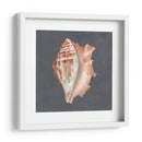 Shell On Slate Ix - Megan Meagher | Cuadro decorativo de Canvas Lab