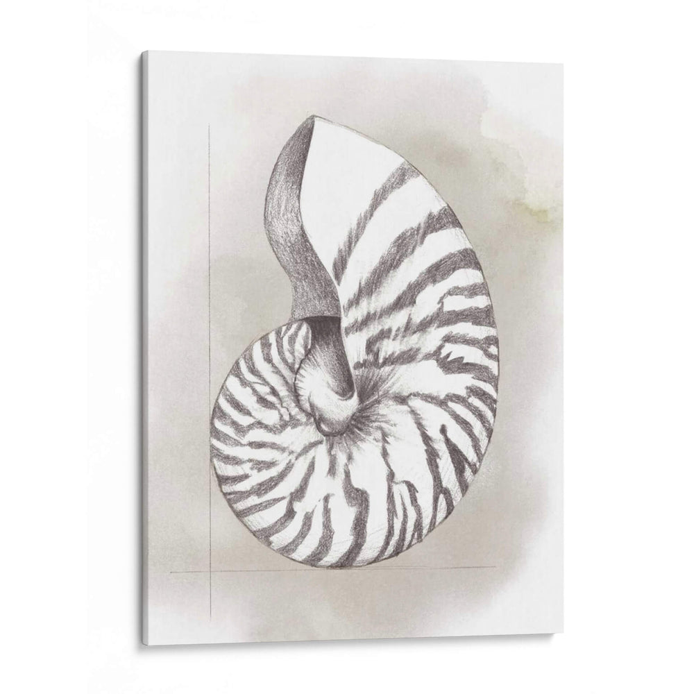 Diagrama De Shell Iii - Grace Popp | Cuadro decorativo de Canvas Lab