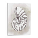 Diagrama De Shell Iii - Grace Popp | Cuadro decorativo de Canvas Lab