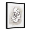 Diagrama De Shell Iii - Grace Popp | Cuadro decorativo de Canvas Lab